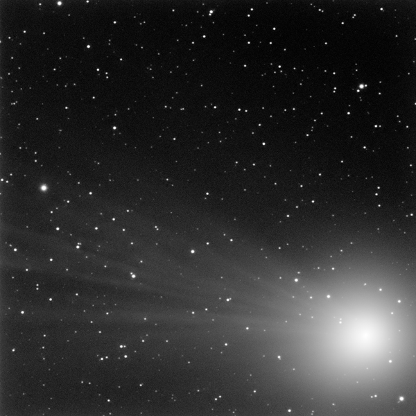 image-10919558-Comete-Lovejoy-600-600-8f14e.jpg?1609249290616