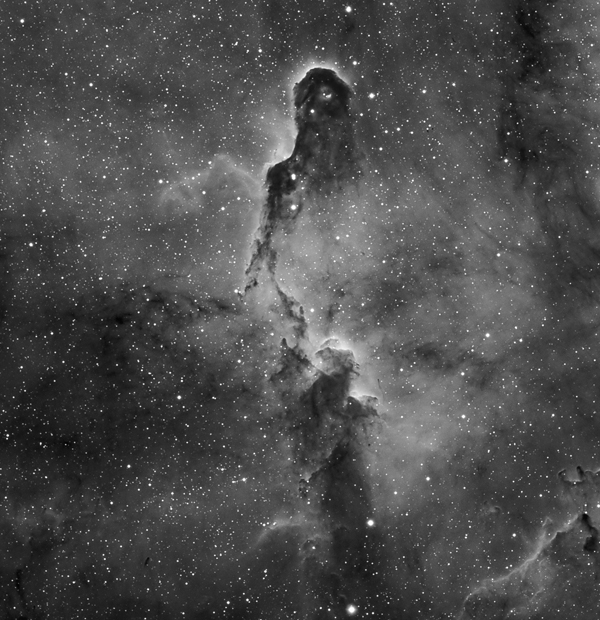 image-7506932-IC-1396-Luminance600x620.jpg